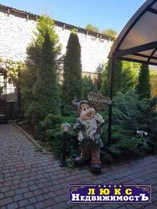 ������ ����������� ��� �������� / ���� 20� �� ���� - ����������