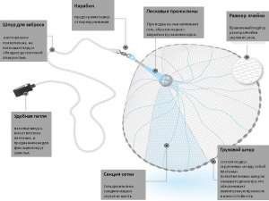 ������ ����������� ����