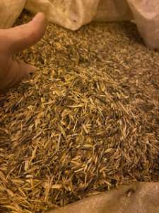 ������ �����������. ����� ������ �.�. ������� - ����������