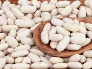 ������ ����������� ������� ����� ����� - ����������