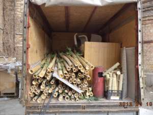 ������ ������������.