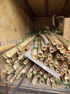 ������ ������������.