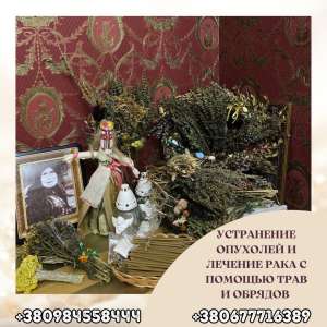 ������ ������������ � �����. �������� �������� ��� ����� � �����.