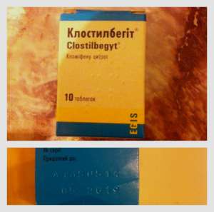 ������ ������������ � ������� - ����������