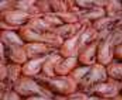 ������ ������������ ��������