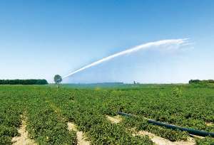 ������ ������������� ��� ������ ������� - ����������