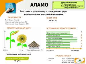 ������ ������������� �����