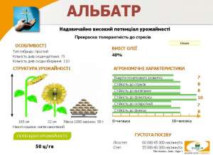 ������ ������������� �������