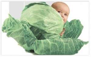 ������ ������������� �������� ������� ���������� ��� �� ������ ��������� - ����������