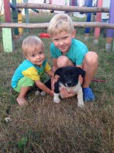 ������ �������������� ����� ���������� �������