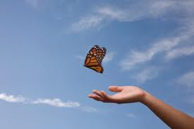 ������ ��������������. ������������� ����� - ����������