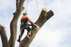 ������ �����������/���/������ �����/����� - ����������