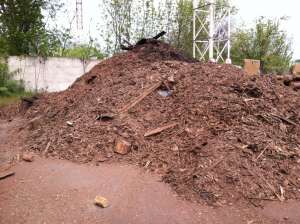 ������ר���� ������ ����� (����, ������, �������)