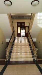 ������� 3 ������� ��� � ������� ����, ����� ������� 1000 �2. - ����������