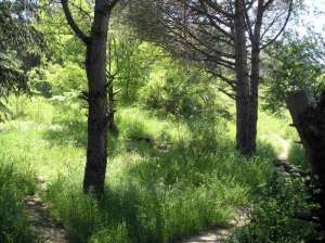 ������� 30 ����� � ����