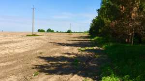 ������� 35 ������ �����