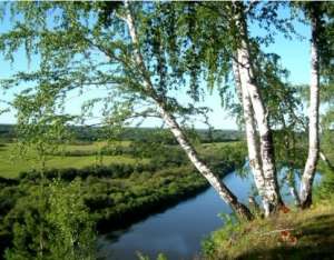 ������� 3�