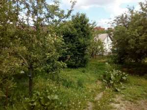 ������� 8 �����, ��.���������, ������������ �-�, ������� �������. - ����������