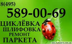 ������� - ����������