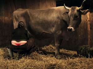 �������