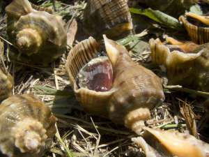 �������.