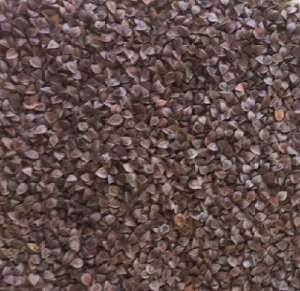 �������. - ����������