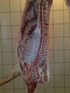 ������� � ���� �����. - ����������