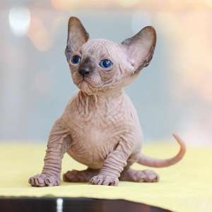 ������� � ������� � ����� ���� � ��������� ��������