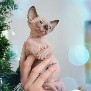 ������� � ������� � ����� ���� � ��������� ��������