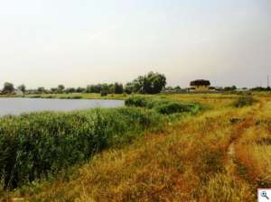 ������� � �.�������.10 ����� �� 2950$ ! - ����������