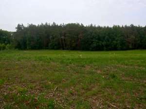 ������� � ��������� 22 �� (������) �����