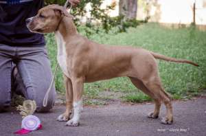 ������� � ���������