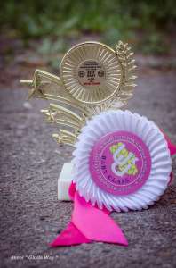 ������� � ���������