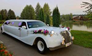 ������� �� ���� 2013����