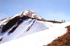 ������� �� �����! 799���/��� �� 5 ���� � �����������. 2-������� ��������, ��������,��������� �� ��������!!!����� - ����������