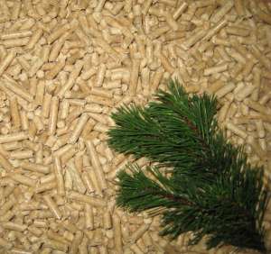 ������� �� ������