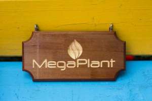 ������� �� ������