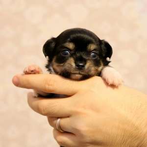 ������� �� ������