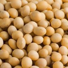 ������� ��, ������ � ����-��� ����� - ����������