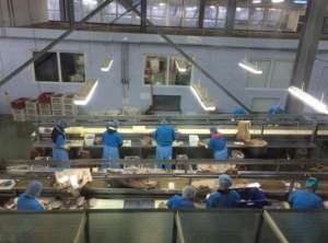 ������� �� ������ �����. ������. - ����������