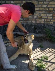 ������� ���