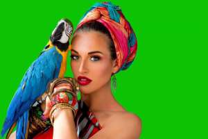 ������� ���+ ������ - ����������