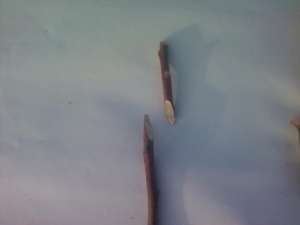 ������� ��� ������ � �������� �������� - ����������