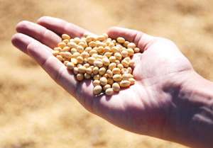 ������� ���. ������� ��. ����� ���. - ����������