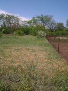 ������� ��� ���������