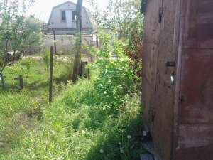 ������� ��� ���������