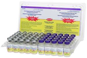 ������� ���� 5-�v�/4L1 ��. (1 ����) + ������������ 1 ��. - ����������