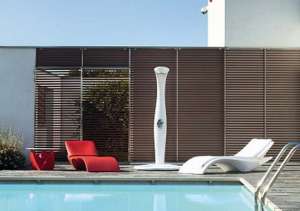 ������� ����