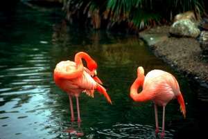 ������� ���� �� ������� �� �����, ���� ������� ���� 1 ���, ������� ������� ���� 9 ���, ��������� ���� ������� ���� � ��� - ����������