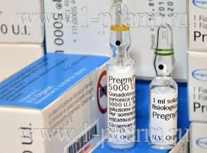 ������� ���� ���� ������ - ����������